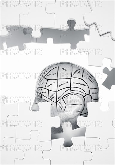 Jigsaw puzzle of sections of brain