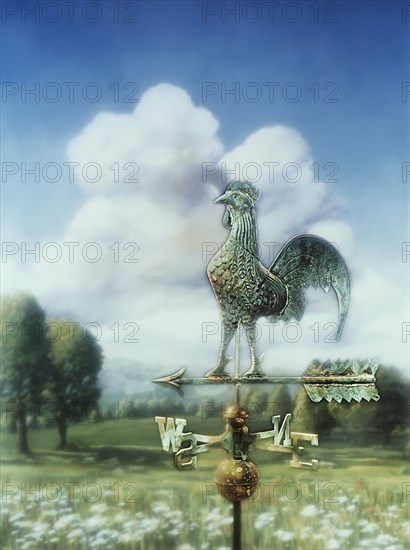 Weathervane in rural landscape