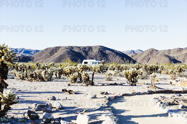 Path through field in desert landscape
