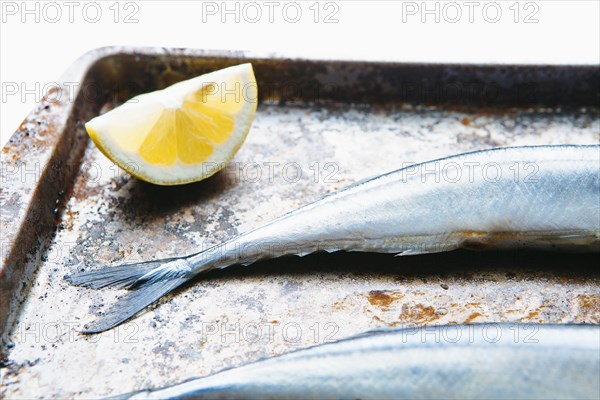 Close up of lemon and fish on baking sheet