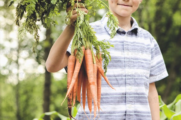 Caucasian boy holding carrots in garden