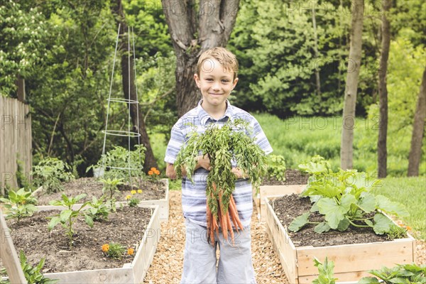 Caucasian boy holding carrots in garden