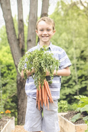 Caucasian boy holding carrots in garden