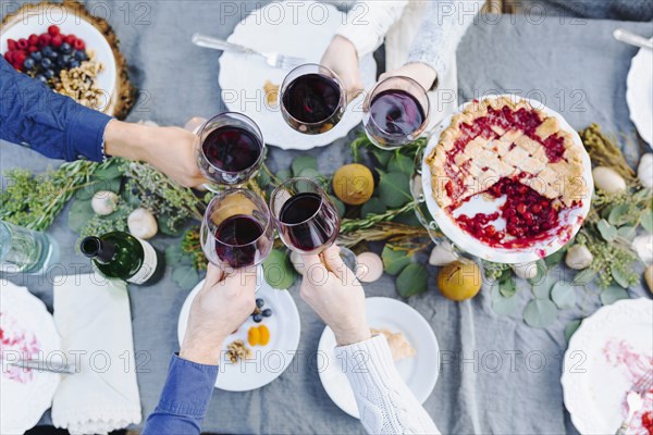 Friends toasting with wine at outdoor table