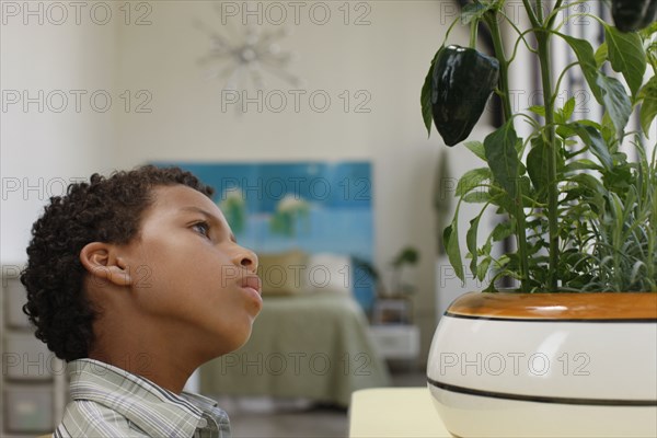 Mixed race boy looking at plant