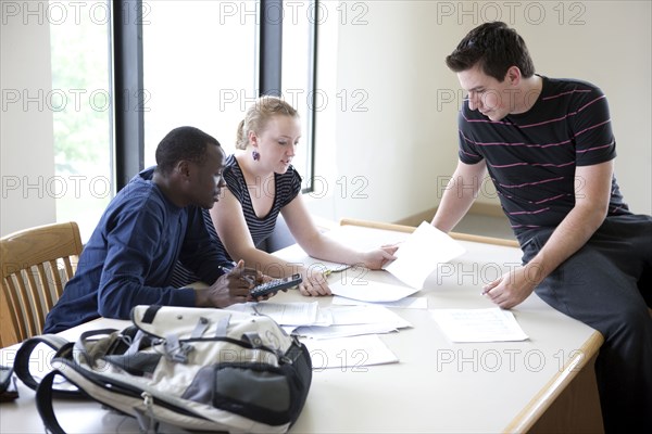 Students working together in library