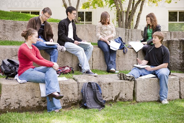 Students studying together outdoors