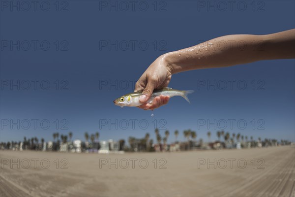 Woman holding live