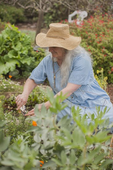 Caucasian woman gardening