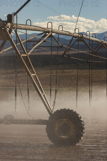 Irrigation sprinklers watering field