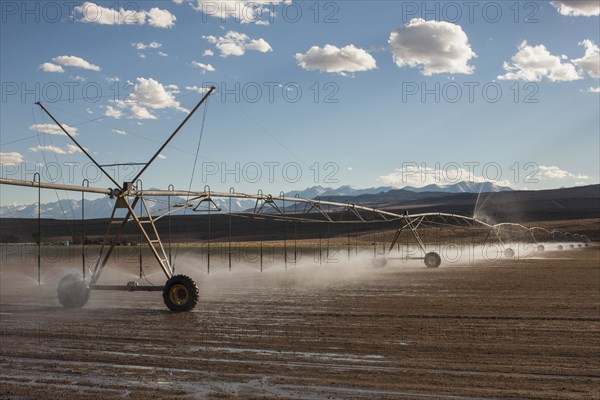 Irrigation sprinklers watering field
