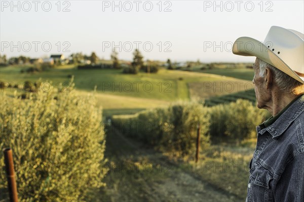 Hispanic farmer standing in vineyard