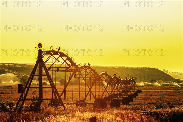 Irrigation sprinklers in rural field at sunset