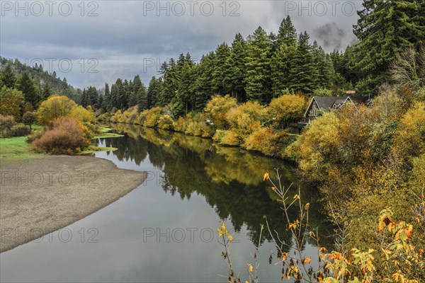 Still lake and house in remote forest