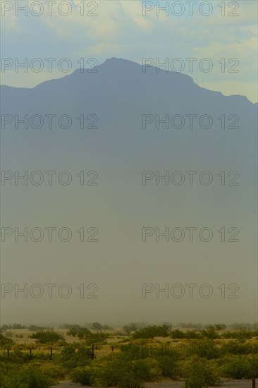 Mountains over plants growing in arid landscape