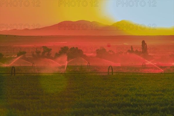 Sprinklers watering rural farmland