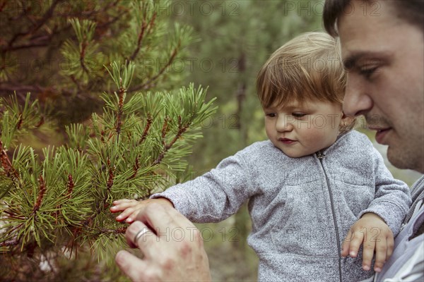 Father and daughter examining pine tree