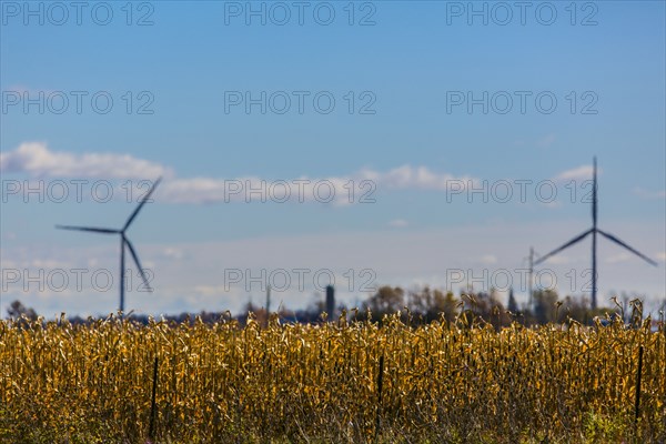 Wind turbines in rural field
