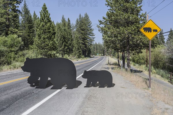 Cut outs of bear and cub crossing street near caution sign