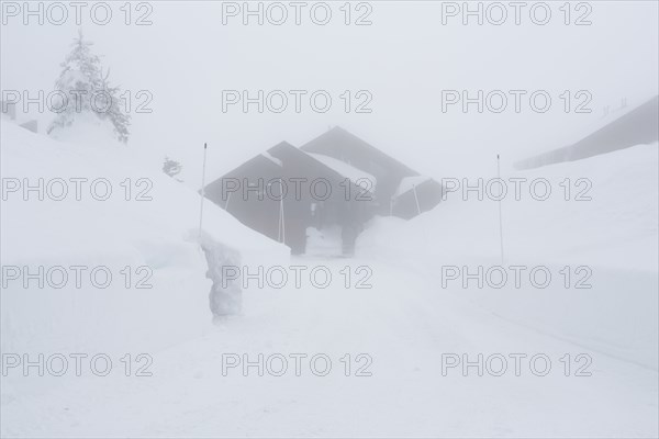 Snow drifts near driveway and house