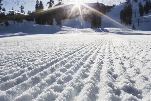 Ridges in snow covered field