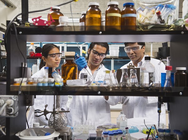 Scientists working in laboratory