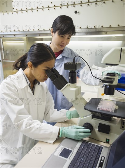 Scientists working in laboratory