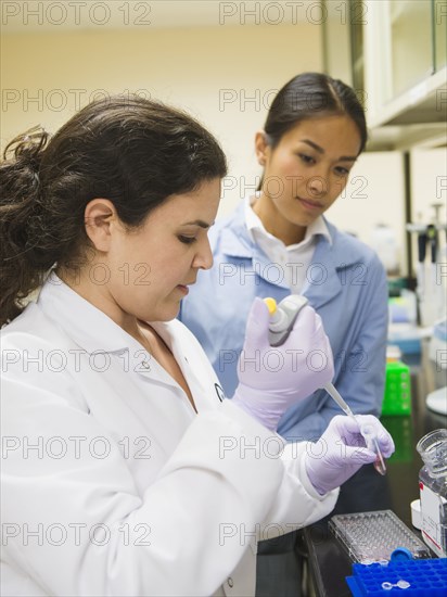 Scientists working in laboratory