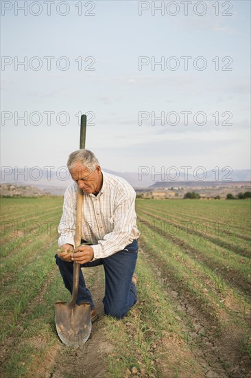 Caucasian farmer planting seeds in crop field