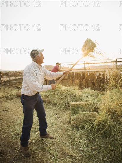 Caucasian farmers forking hay