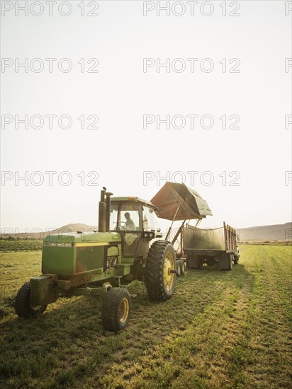 Caucasian farmer driving tractor in crop field