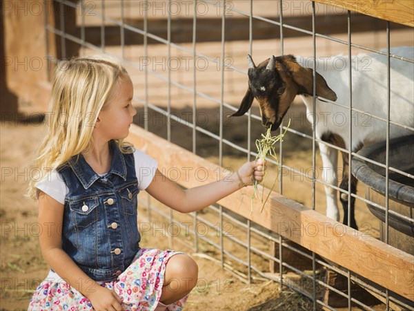 Caucasian girl feeding goat on farm