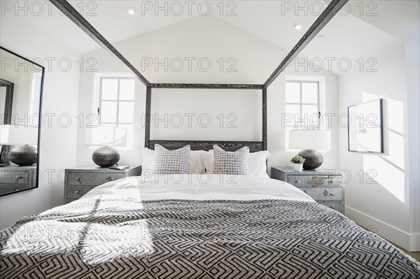 Canopy bed in modern bedroom