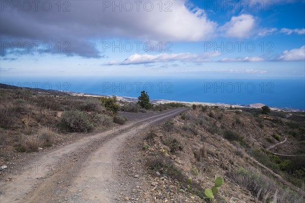 Dirt path near ocean