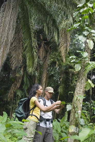 Hispanic couple exploring jungle