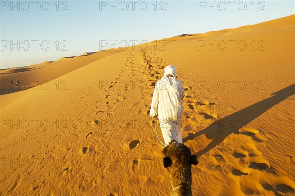 Person walking in desert with camel