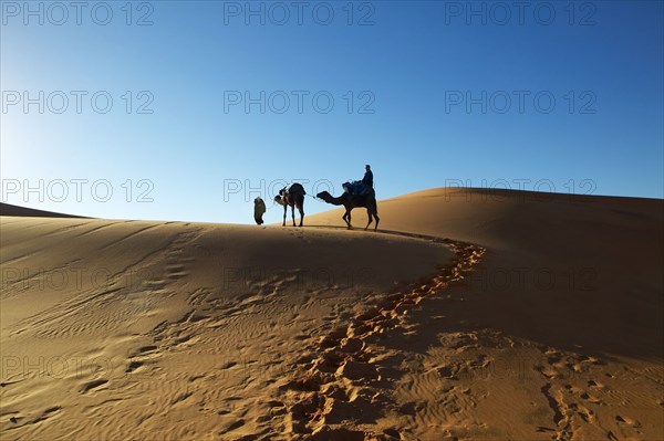 Person walking in desert with camel