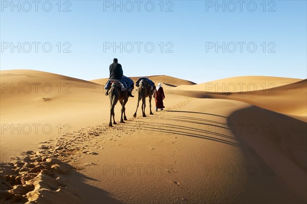 Person walking in desert with camel