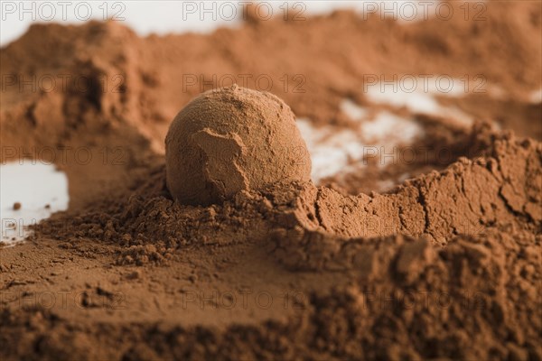 Chocolate ball in cocoa powder