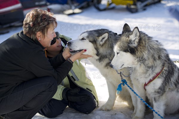 Hispanic woman and boy petting dogs