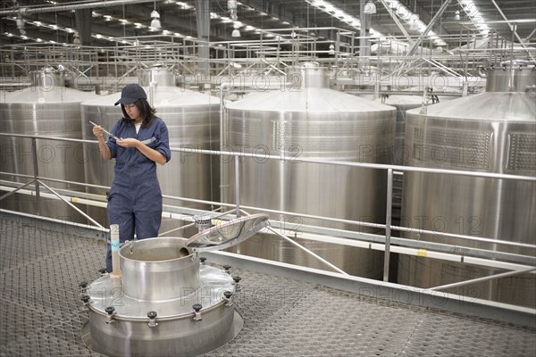 Chilean woman testing wine from vat at winery