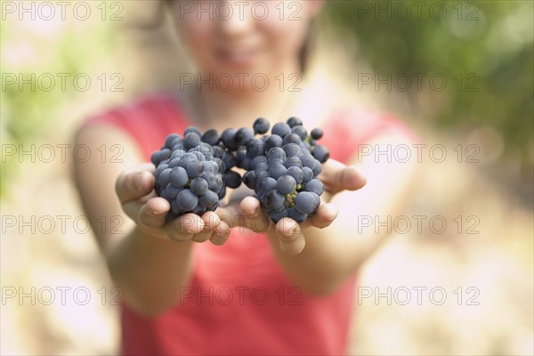 Hispanic woman holding two bunches or red grapes