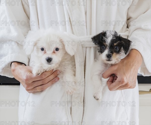 Caucasian woman wearing bathrobe carrying puppies in pockets