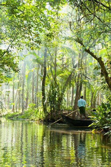 Man standing in boat on tranquil forest river