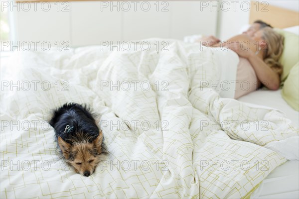 Couple and dog sleeping in bed