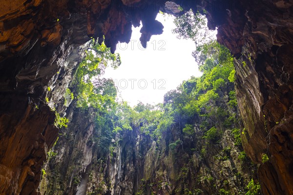 Cave opening in jungle landscape