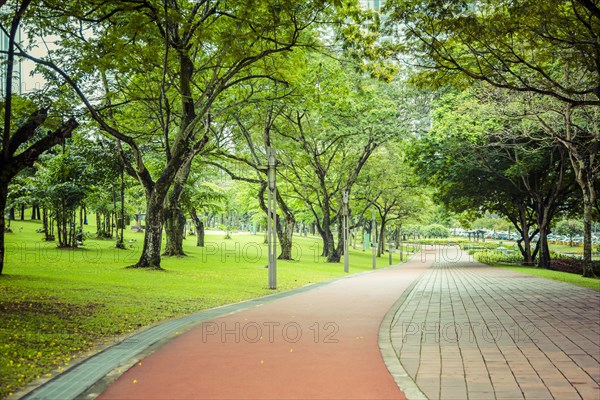 Paved path in urban park