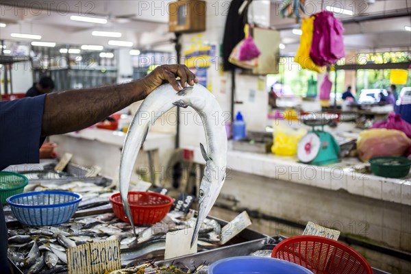 Seller holding fish for sale in market