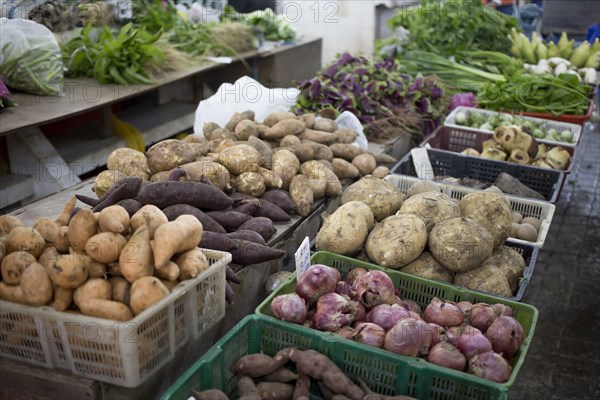 Vegetables for sale in market