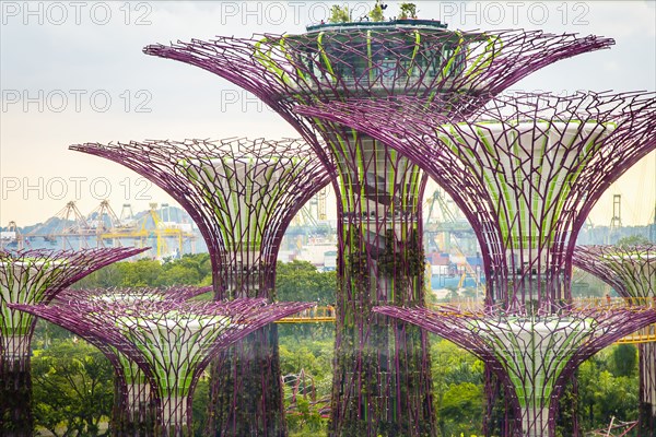 Electric Supertrees in park